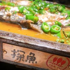 TAN YU HUA DOU LAI YOU LAI DIAN User Photo