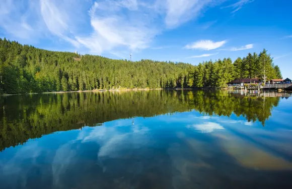 德國+法蘭克福+巴登巴登黑森林地區/斯特拉斯堡城站