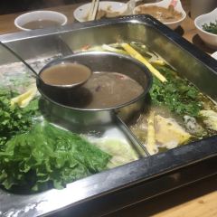 BA FU HUO GUO ZAN HUANG DIAN User Photo