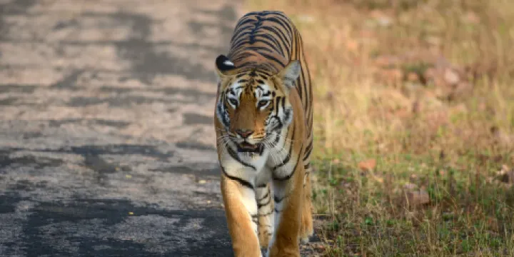 Rancho Las Lomas Wildlife Foundation