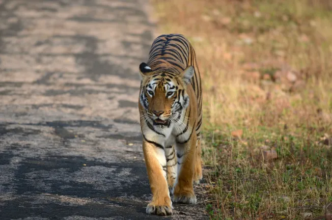 Отели рядом с достопримечательностью «Диснейленд»