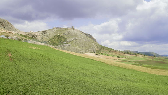 Damaoshan Scenic Area