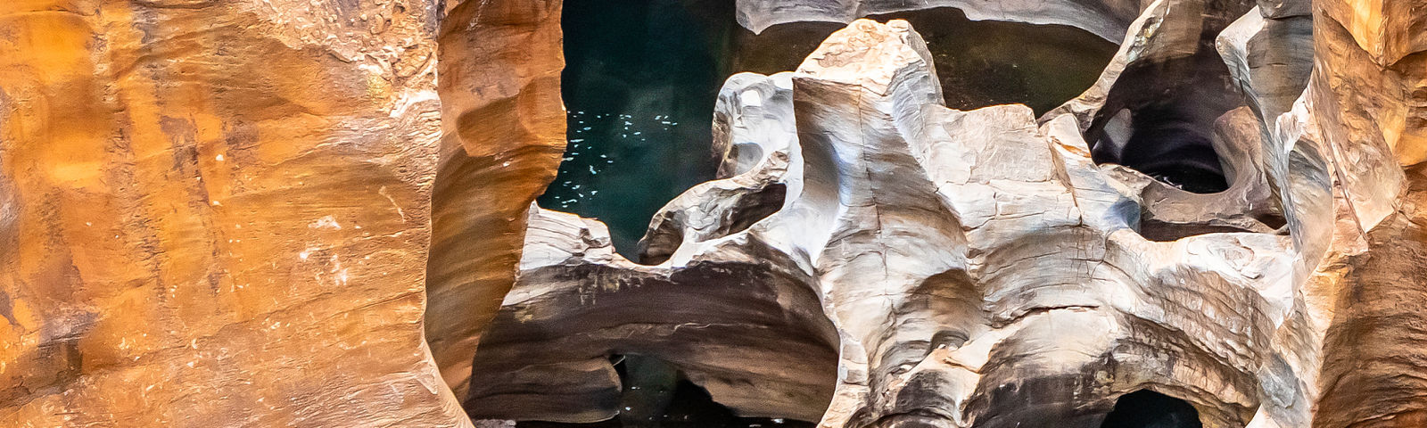 EhlanzeniTour giornalieri