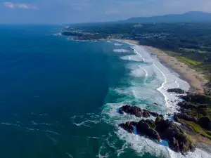 Tanesashi Coast Natural Lawn