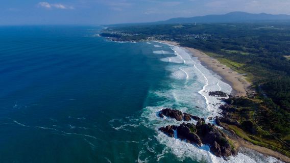 Tanesashi Coast Natural Lawn