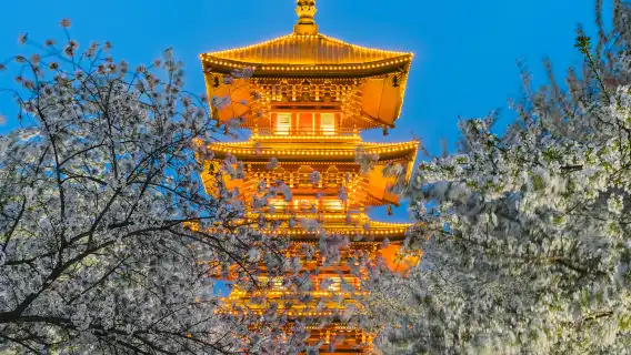 Yellow Crane Tower + Yangtze River Bridge + Jianghan Road Pedestrian Street + Hankou River Beach + Zhiyin guide and Translation G