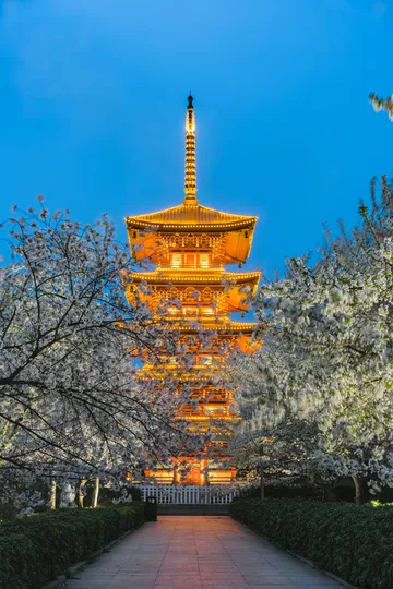 5_East Lake Cherry Blossom Garden