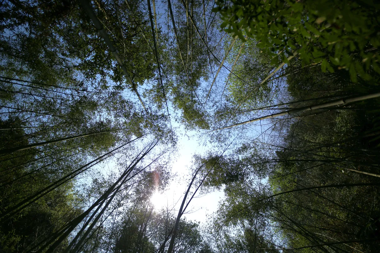 3_猴耳天坑·極限酷玩公園