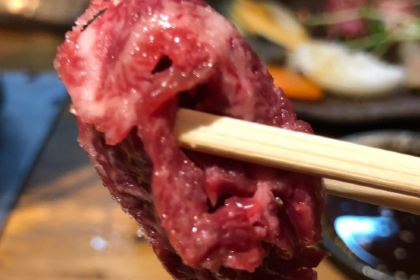 Charcoal Grill green BASHAMICHI