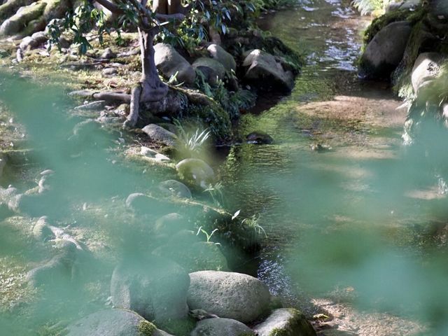 江戶時代大名庭園風格 | 日本旅遊| 兼六園賞夜景