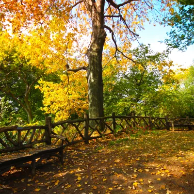 Бутик Отели в г. Цзясин