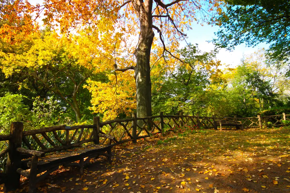 Hotels near Chunxiao Park