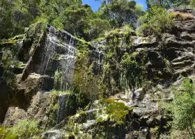 Tianji Mountain Scenic Area