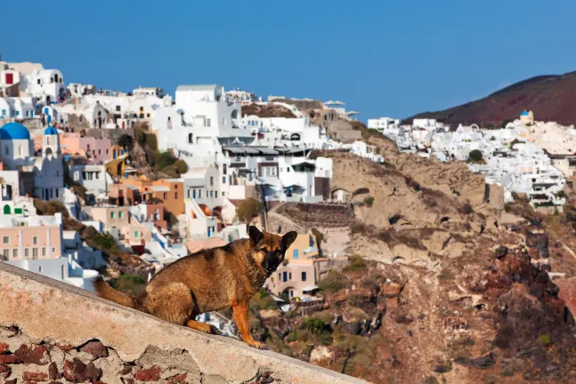 Vuelos a Paros flyadeal