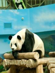 Yabuli Panda House