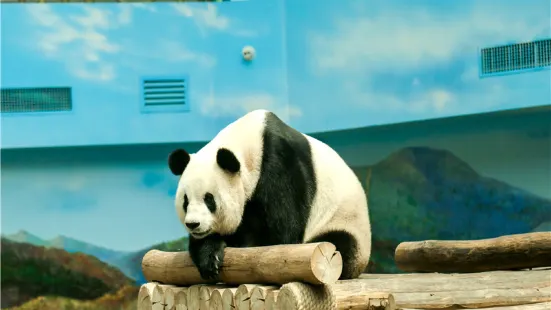 Yabuli Panda House