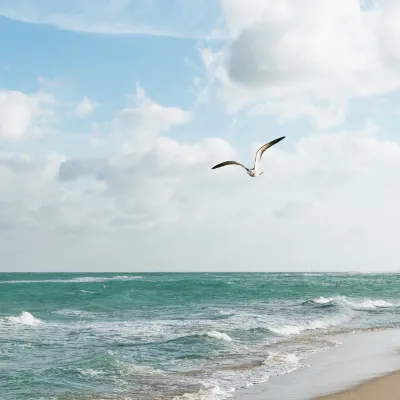 2-Star Hotels in North Miami Beach