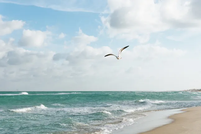 Для бизнес-поездок Отели в г. Майами-Бич