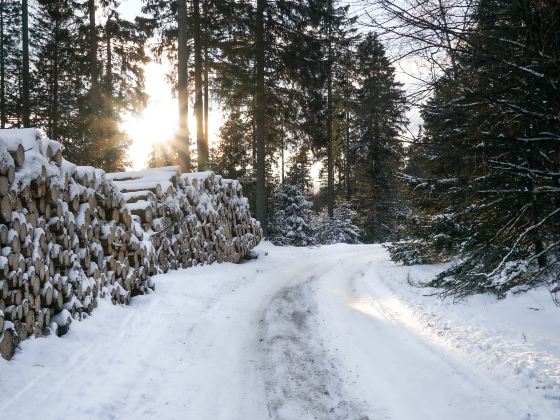 歐娜斯山滑雪中心