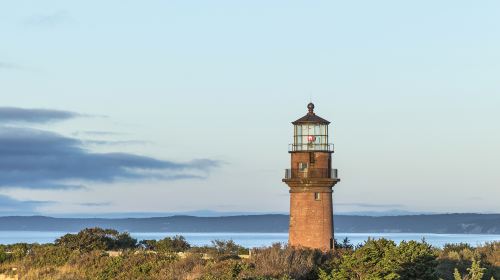 瑪莎葡萄園島