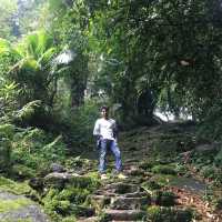 Journey to Lush greenery