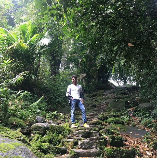 Journey to Lush greenery