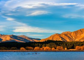 Vé máy bay Wizz Air Abu Dhabi đi Christchurch