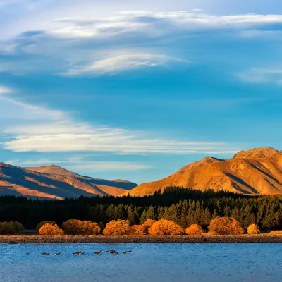 Emirates Flights to Christchurch