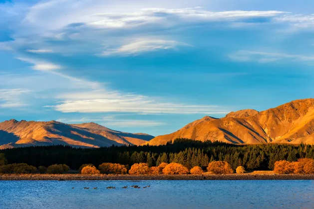 Hotels in Mount Cook Village With Parking