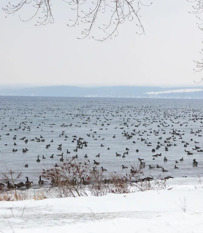 Finger Lakes