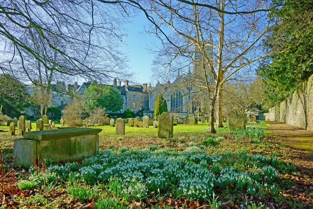 Отзывы об отеле New County Hotel