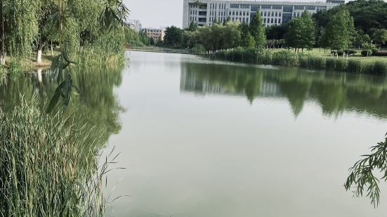 Jiangsu university is an amazi