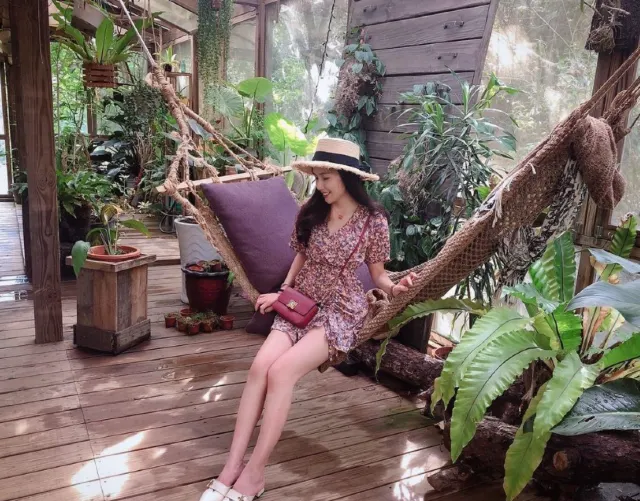 【無敵山景旅宿推薦】全台超夯森林住宿大公開!療癒山景盡收眼底