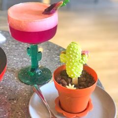 AMINO AMIGO User Photo