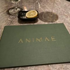 Animae User Photo
