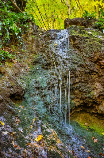 Fruška Gora National Park