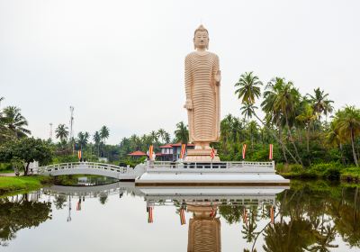 Hikkaduwa Lake