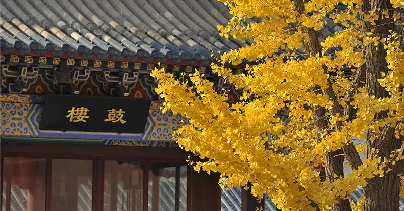 Fall Viewing Attractions
