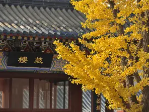 廊坊的熱門遊賞秋景好去處