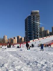 丁香湖奧悦滑雪場