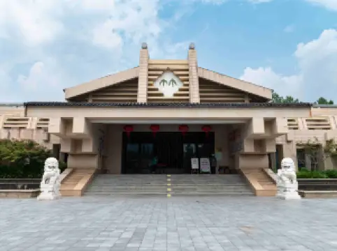 대나무 엑스포 파크