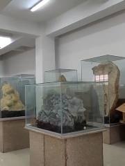 Музей естественного Теньвуда, провинции Шаньдун