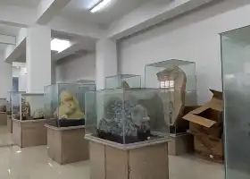 Shandong Tianyu Museum of Natural History