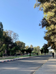 Parco Althawra