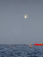 Moonlight Kayaking