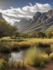 Jonkershoek Nature Reserve