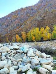 Xiaodong Ditch Forest Park