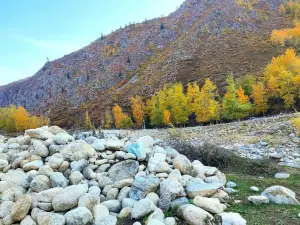 Xiaodong Ditch Forest Park