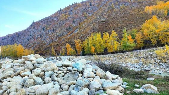 Xiaodong Ditch Forest Park
