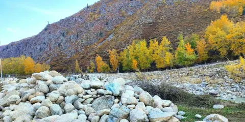 小東溝森林公園